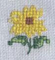 fuer-Susanne-Sonnenblume2
